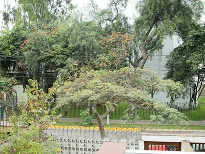 Venta de Casa en Santiago de Surco - Lima 3 Dormitorios