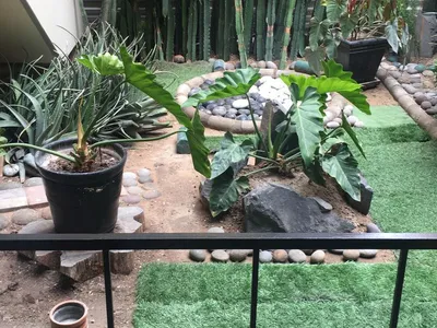 Venta de Departamento en Santiago de Surco - Lima 2 Dormitorios
