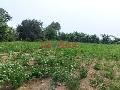 Venta De Terreno Agricola En Carabayllo