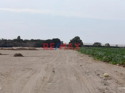 Terreno Agrícola En Venta – San Andrés, Pisco
