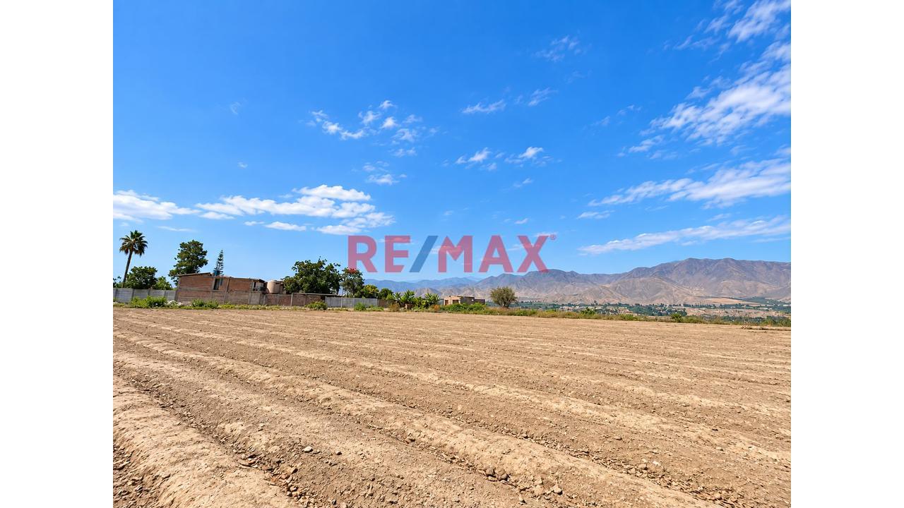 Se Vende Terreno De 8500 M² En Quilmaná - Cañete