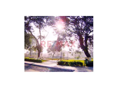 ✨ ¡Hermoso Dúplex En Chaclacayo: ¡Sol, Paz Y La Vista De Tus Sueños! ✨