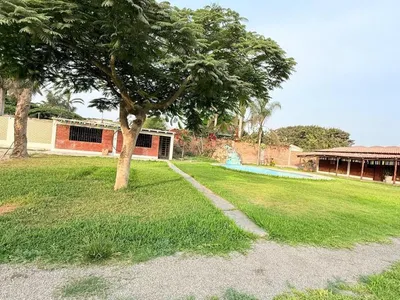 Alquiler de Local Comercial en Pachacamac - Lima 3 Dormitorios 