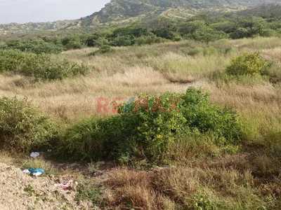 🌴 Terreno En Venta En Bocapán – Contralmirante Villar 🌟