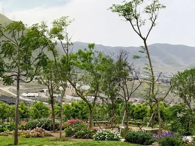 Venta de Terreno / Lote en Pachacamac - Lima
