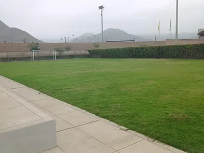 Venta de Terreno / Lote en Asia - Cañete