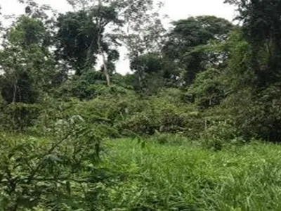 Terreno en venta · Condominio Residencial, Tambopata · 1981 m²