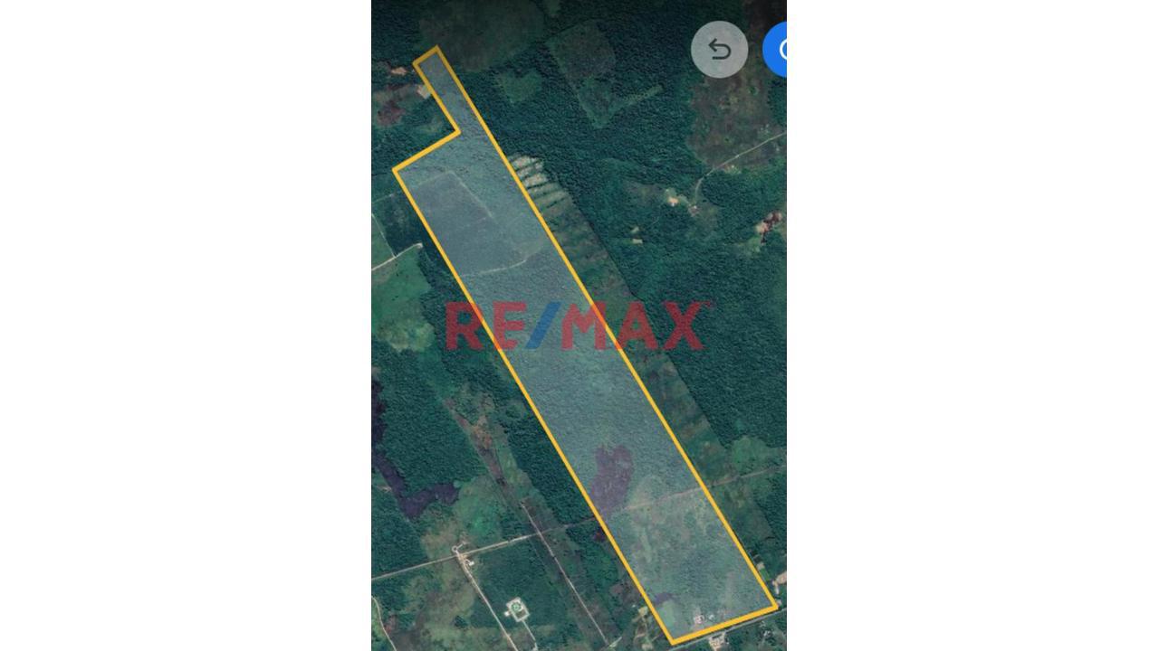 Terreno Agricola Altamente Productivo - Palma Y Otros Importantes Cultivos