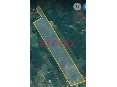 Terreno Agricola Altamente Productivo - Palma Y Otros Importantes Cultivos