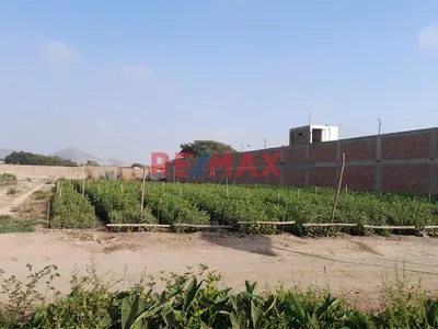 Venta De Terreno En Pachacamac