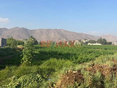 ¡Oportunidad Única! Terreno Agrícola En Venta Cerca De La Av. Paisajista 🌿🏡