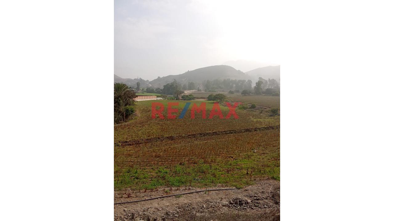 ✨ Venta De Terreno En Pachacamac – Predio Urbano ✨