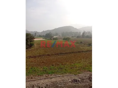 ✨ Venta De Terreno En Pachacamac – Predio Urbano ✨