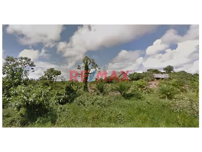 Terreno Agrícola Fértil De 127 Ha Con Casa Y Frente A Carretera En Iquitos – Ideal Para Proyectos Sostenibles
