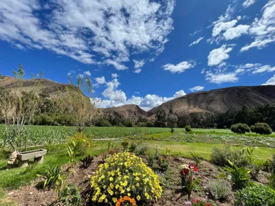 Venta de Terreno / Lote en Urubamba - Urubamba 0 Dormitorio 