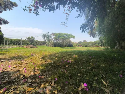 Vendo Terreno En Condominio - Lurin