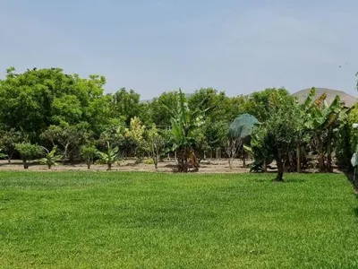 Venta de Terreno / Lote en Santa Cruz de Flores - Cañete