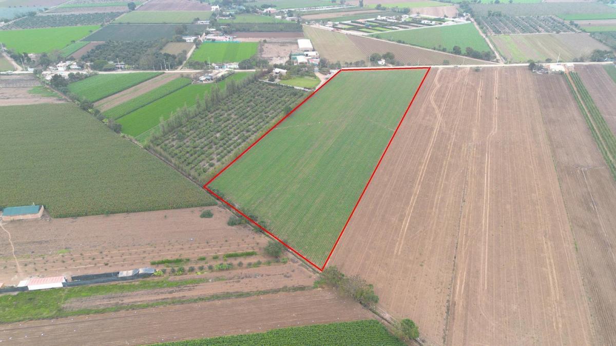 Venta de Terreno / Lote en Quilmana - Cañete 0 Dormitorio 