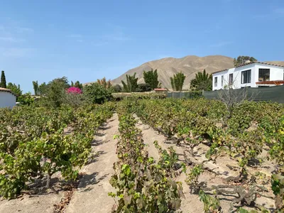 Oportunidad Venta De Terreno En Azpitia Muy Cerca A La Panamericana Sur ,