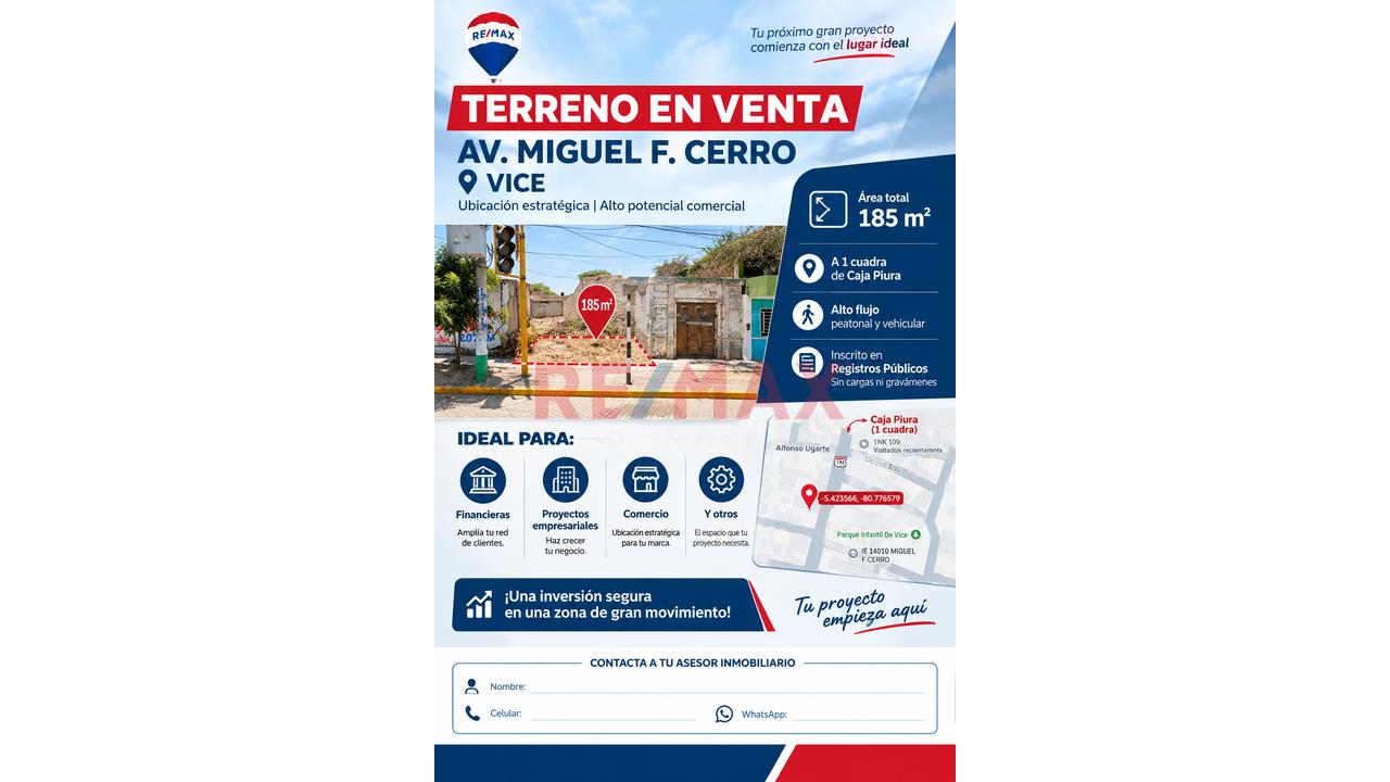 Terreno En Venta Av, Principal De Vice
