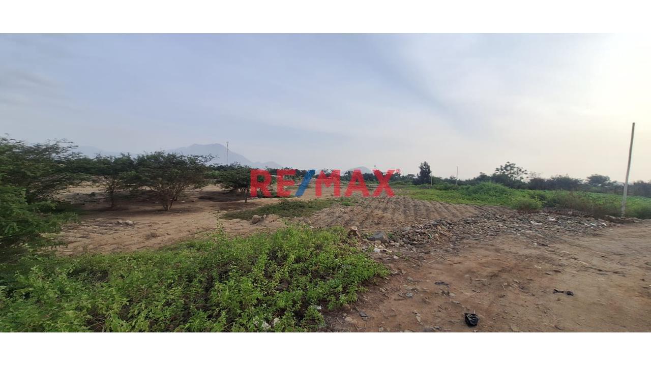 Se Vende Terreno De 1000M2 En Sector Alto El Moro, Laredo - Trujillo - $38,000