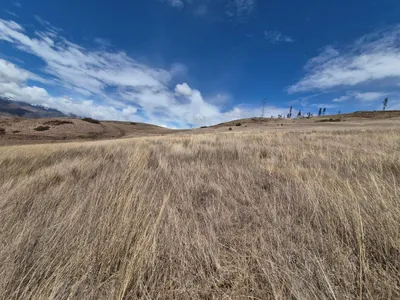 Venta de Terreno / Lote en - Urubamba 0 Dormitorio 
