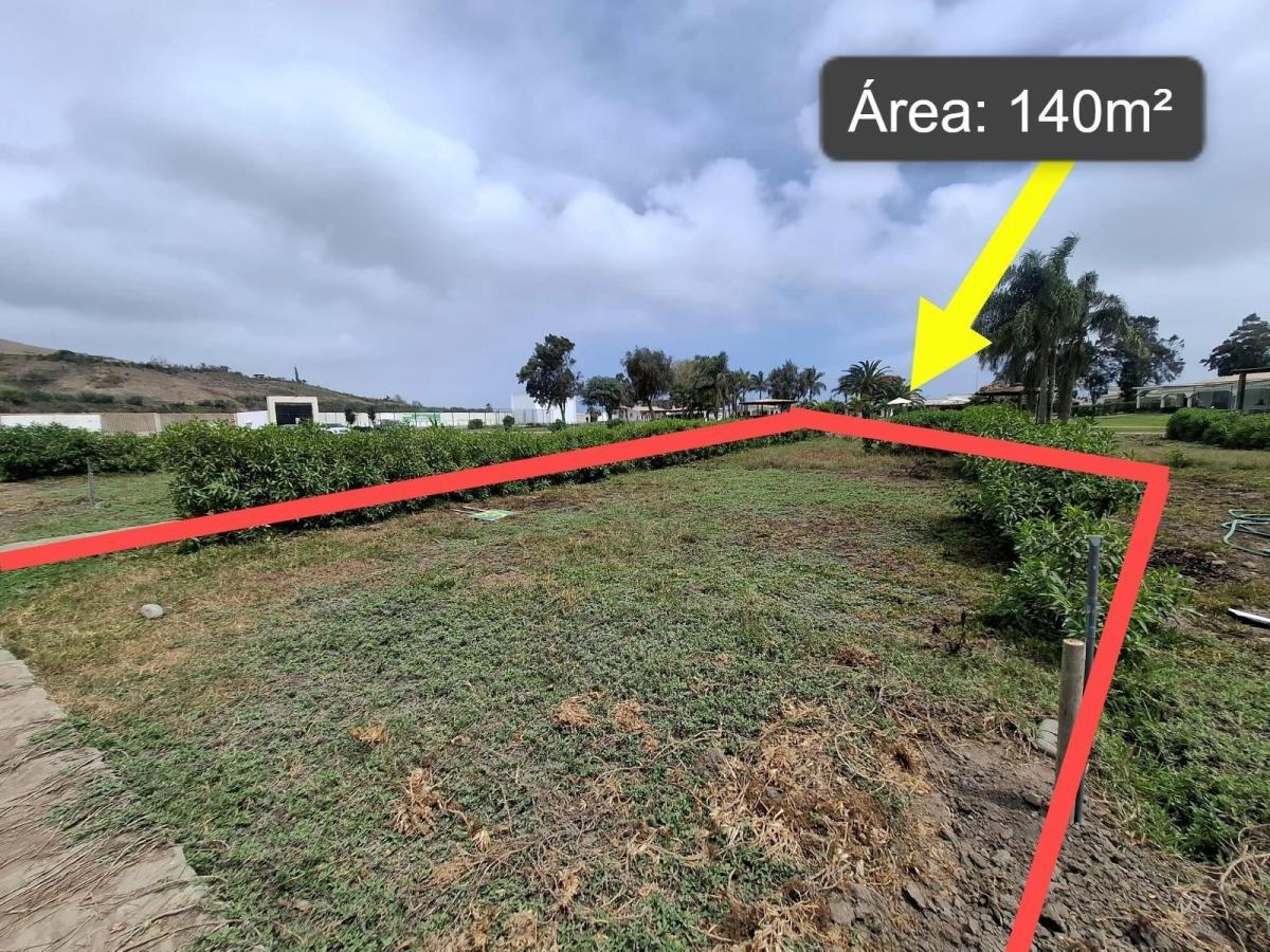 Venta de Terreno / Lote en San Luis Cañete - Cañete 0 Dormitorio 
