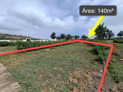 Venta de Terreno / Lote en San Luis Cañete - Cañete 0 Dormitorio 