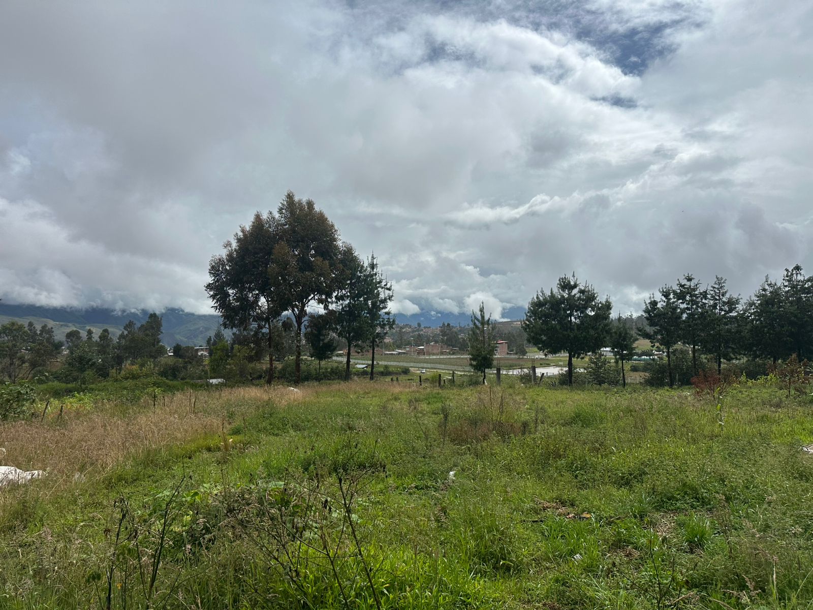 Vendo Terreno De 11634 M2 En La Mejor Zona De Chachapoyas 🌿 🌱🐄