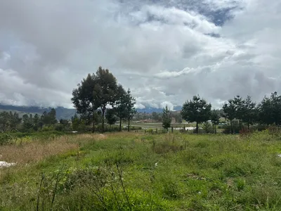 Vendo Terreno De 11634 M2 En La Mejor Zona De Chachapoyas 🌿 🌱🐄