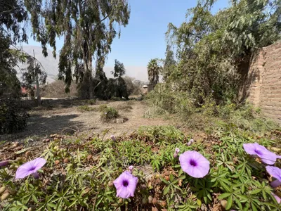 Venta de Terreno / Lote en Chosica - Lima 0 Dormitorio 