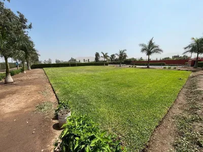 Venta de Terreno / Lote en Quilmana - Cañete