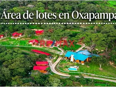 Oportunidad De Inversión En Oxapampa! 11 Terrenos En Venta Con Excelente Plusvalía