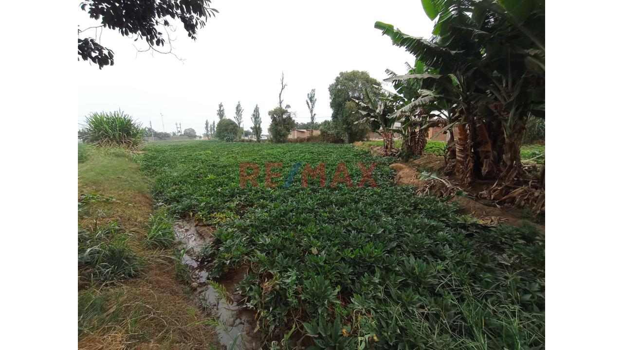 🚨🎯Se Vende Terreno Rural Con Proyecciòn Urbana🚨🎯