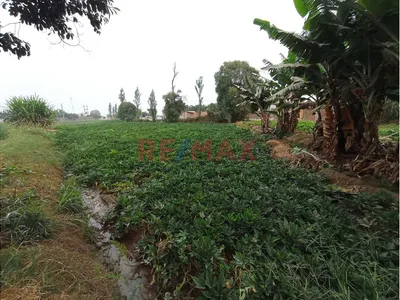 🚨🎯Se Vende Terreno Rural Con Proyecciòn Urbana🚨🎯