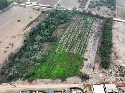 Venta de Terreno / Lote en Pachacamac - Lima