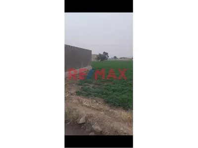 Terreno En Venta – Punchauca, Caudevilla