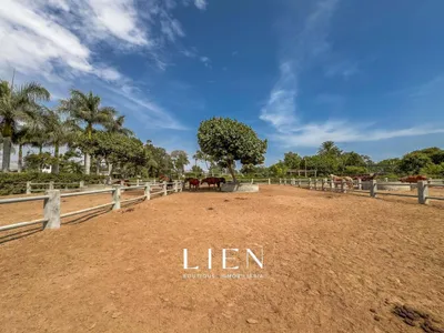 Venta de Terreno / Lote en Canete - Cañete