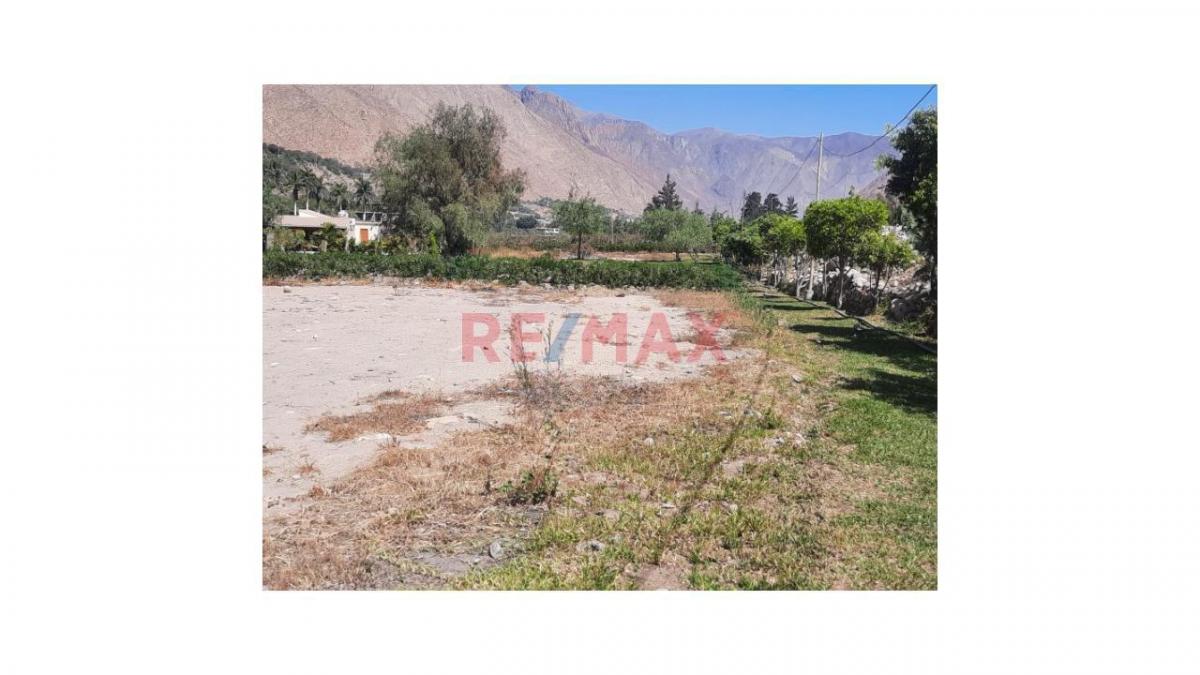 Venta de Terreno / Lote en - Canta 0 Dormitorio 