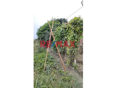 Terreno Agrícola En Venta En Puerto Supe De 6,576 M² Con Cultivo De Maracuyá En Producción