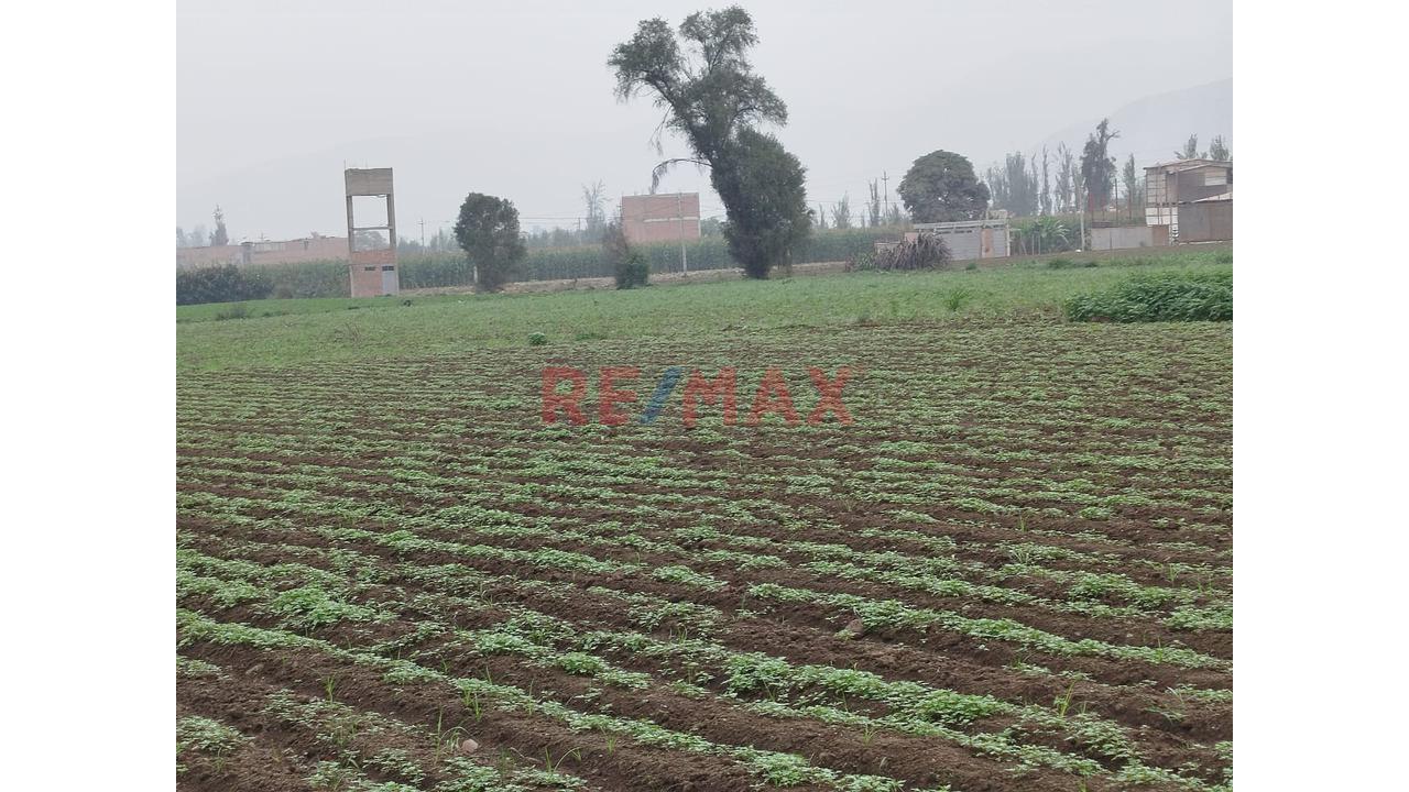 Se Vende Terreno