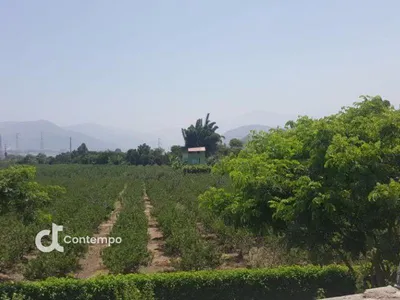 Venta de Terreno / Lote en Calango - Cañete