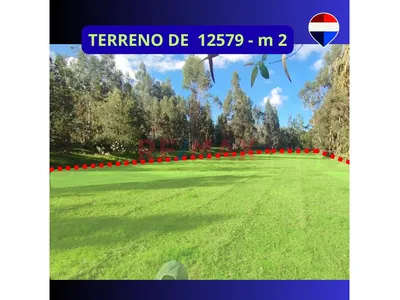 Terreno Agricola En Venta - Concepcion