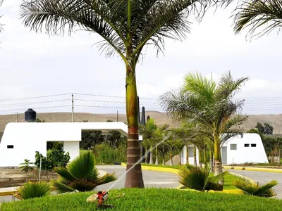 Terreno en venta · Panamericana Norte Km 164, Vegueta · 707 m²