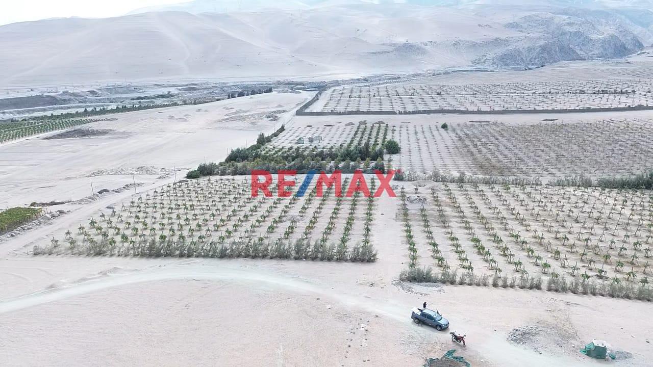 Vendo Parcela Grande Agricola En Pucchún – Camaná