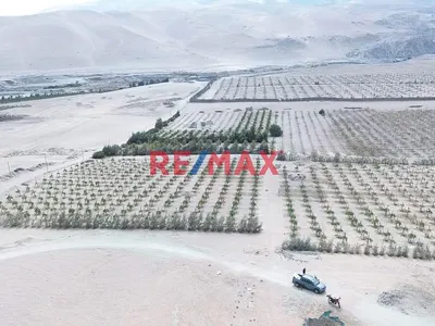 Vendo Parcela Grande Agricola En Pucchún – Camaná