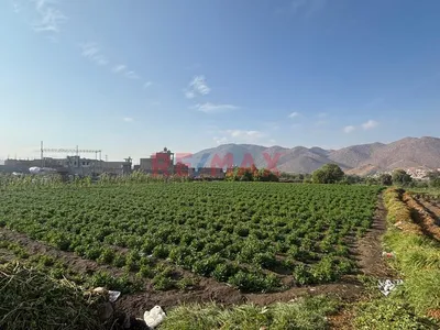 ¡Oportunidad Única! Terreno Agrícola En Venta Cerca De La Av. Paisajista 🌿🏡 1453.29 Mts.