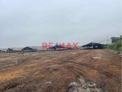 Oportunidad De Inversión: Terreno En Alquiler En Chancay, Cerca Al Megapuerto $25000