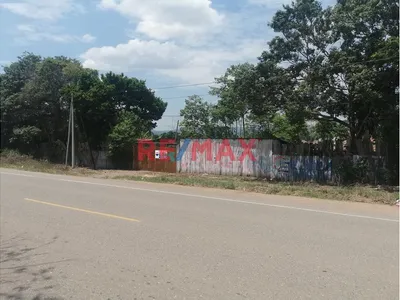 Venta De Extenso Terreno En Carretera Fernando Belaunde En Picota - San Martín