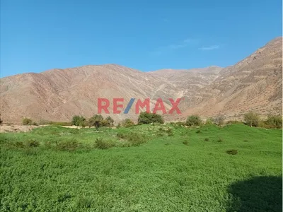 Haz Realidad Tu Proyecto Rural: Fundo Ganadero Y Agrícola En El Corazón De Ayacucho